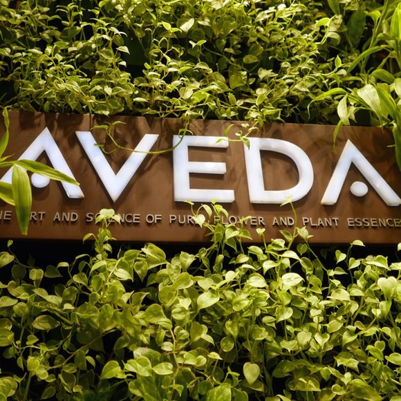 ** 1 DAY SALE! ** Aveda VALENCIA Key Element #7 Air Nature RETIRED RARE JUMBO SZ - Picture 13 of 14